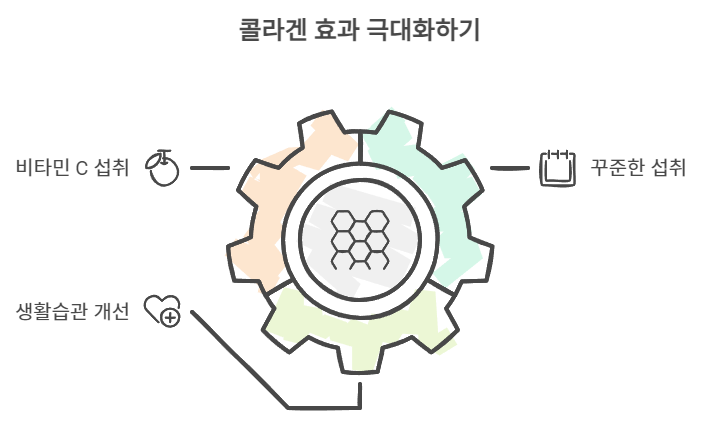 콜라겐 효과 극대화하기