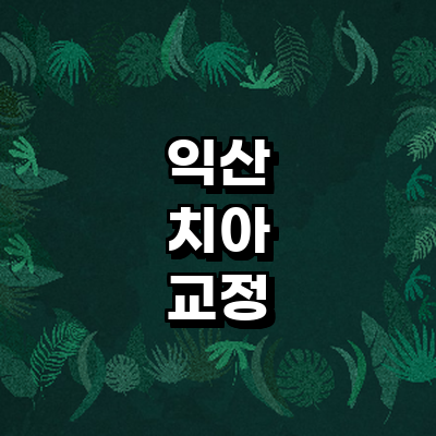 익산시 교정 치과