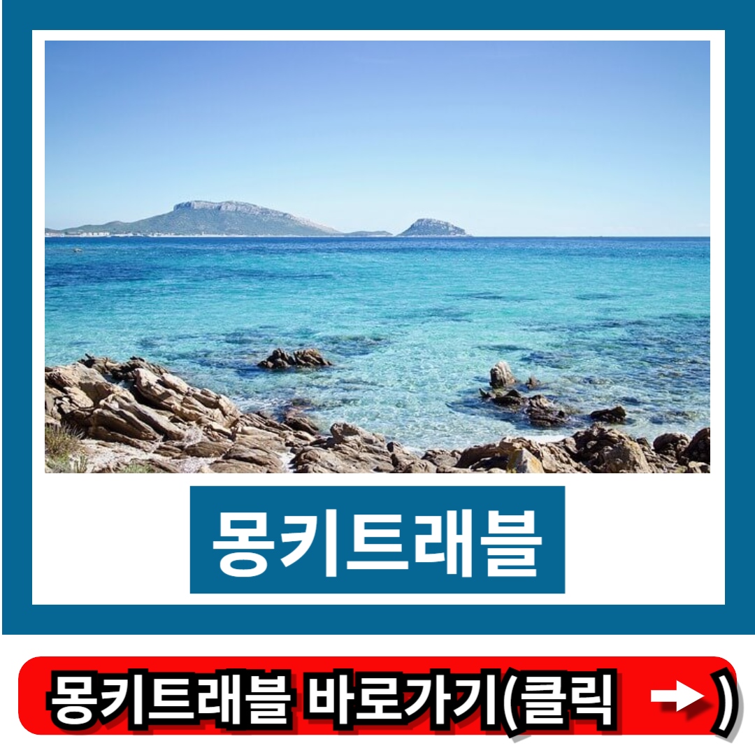 몽키트래블
