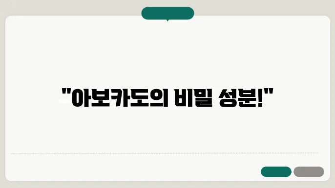 아보카도 성분