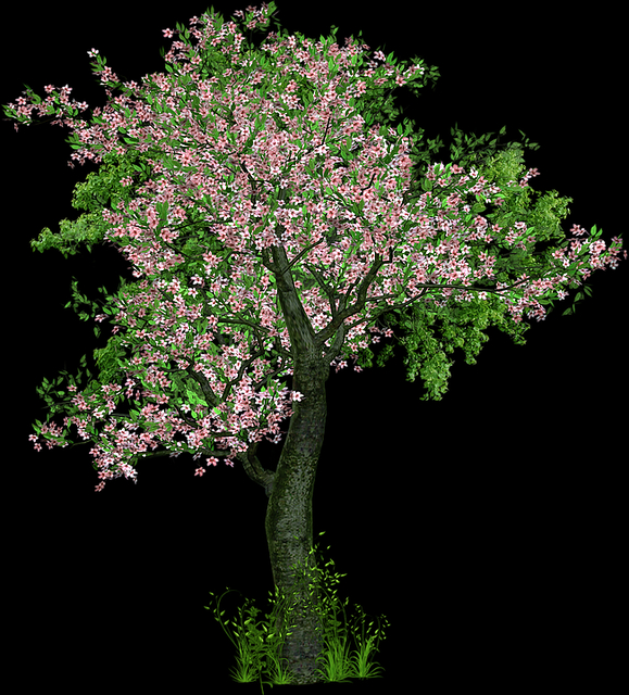 전국 벚꽃 명소 축제 일정