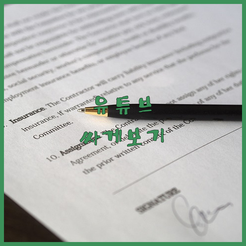 현명한 선택! 피클플러스로 유튜브 프..