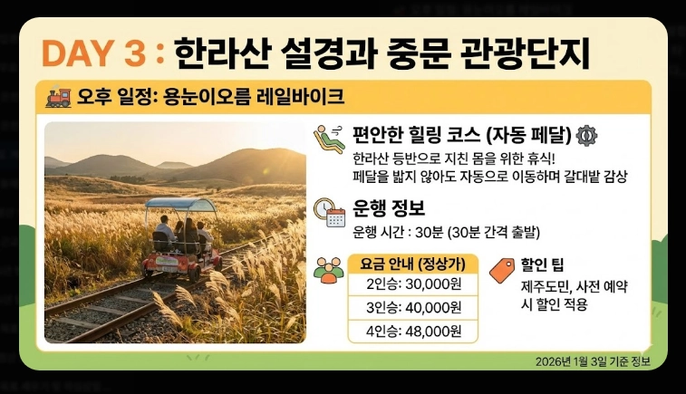 제주도 겨울 여행 3박4일 일정표 완벽 가이드 2026