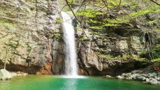 국립자연휴양림