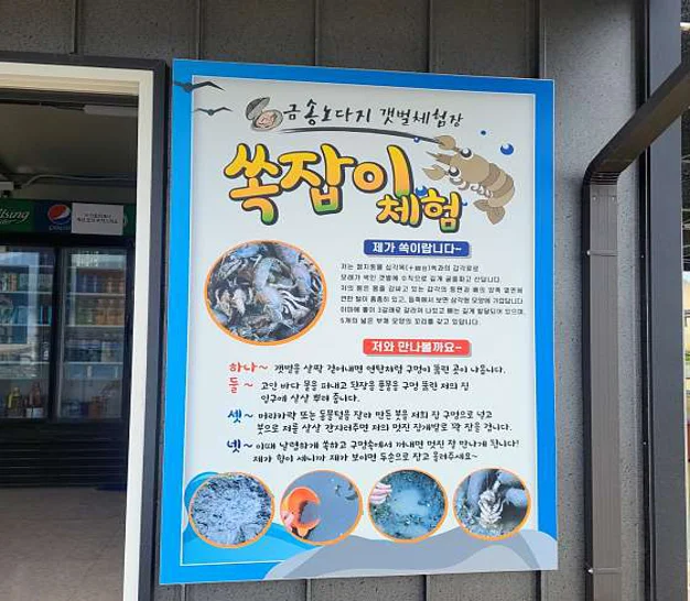 금송노다지 갯벌체험