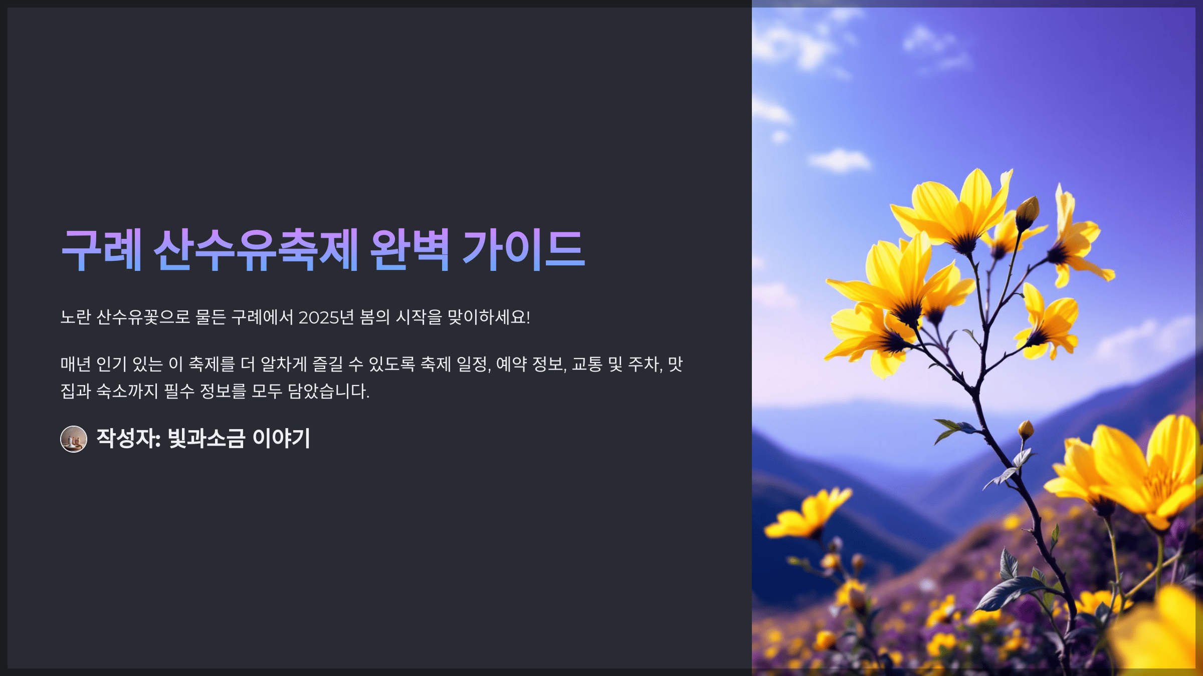 구례 산수유축제 완벽 가이드