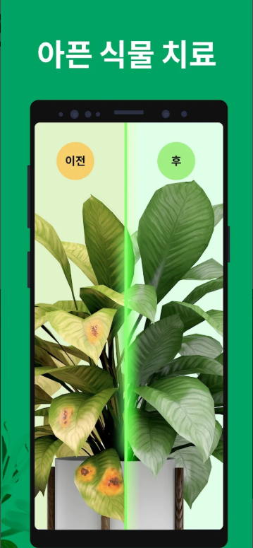 꽃 이름 검색, 꽃 이름 식별 앱