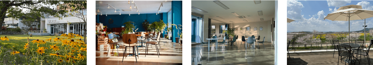 고창 청보리밭 축제 카페