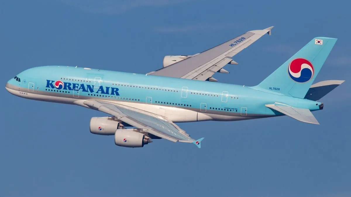 2025 오늘 출발 가능한 땡처리 항공권 실시간 조회 방법