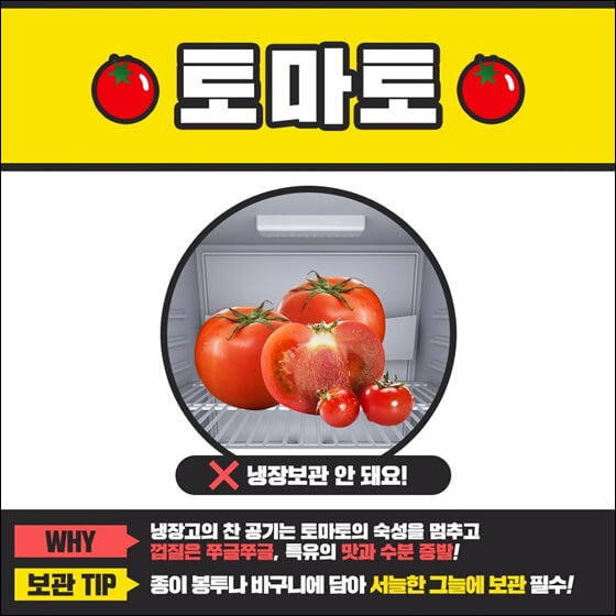 토마토 보관 방법