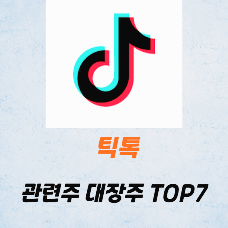 틱톡 관련주 대장주 테마주 주식 TOP7