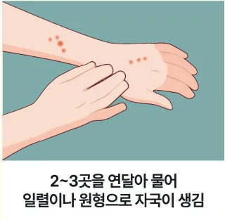 빈대 퇴치제