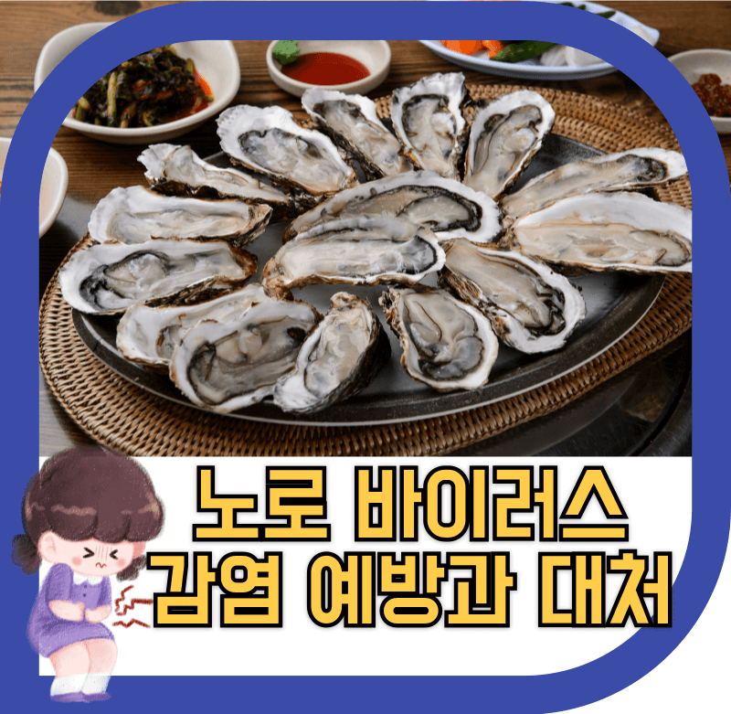노로바이러스가 나오기 굴 음식 사진