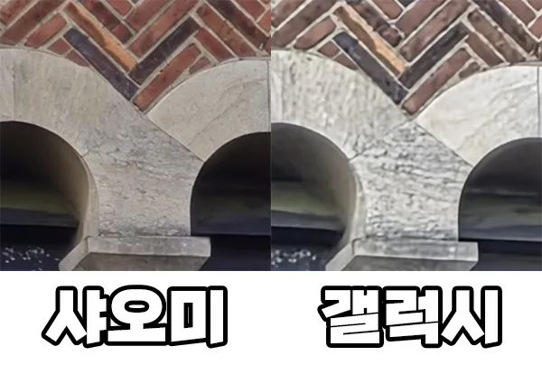 줌-비교
