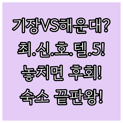부산 숙소 기장 VS 해운대 호텔 5..