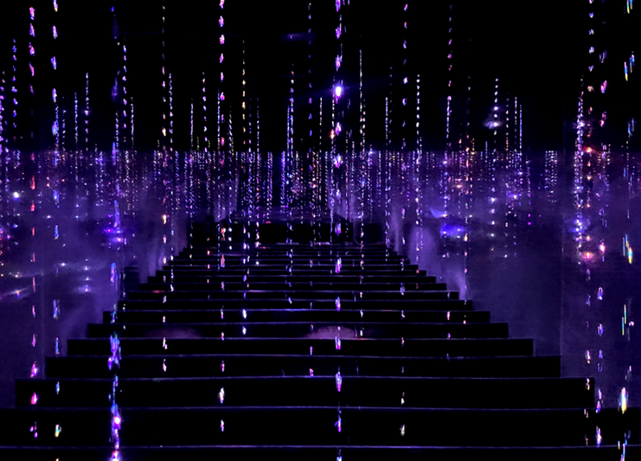 일본 도쿄 팀랩 플래닛 여행-생명은 결정화된 덧없는 빛