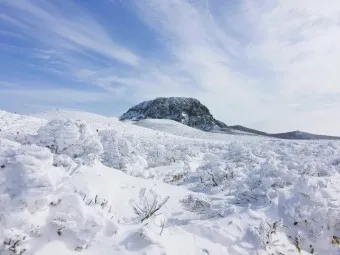 한라산 등반코스 쉬운코스 추천_12