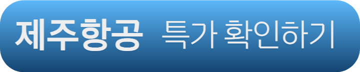 제주항공 오사카 항공권