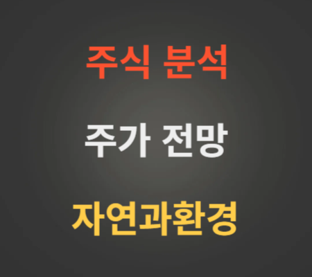 자연과환경 주가 전망 분석