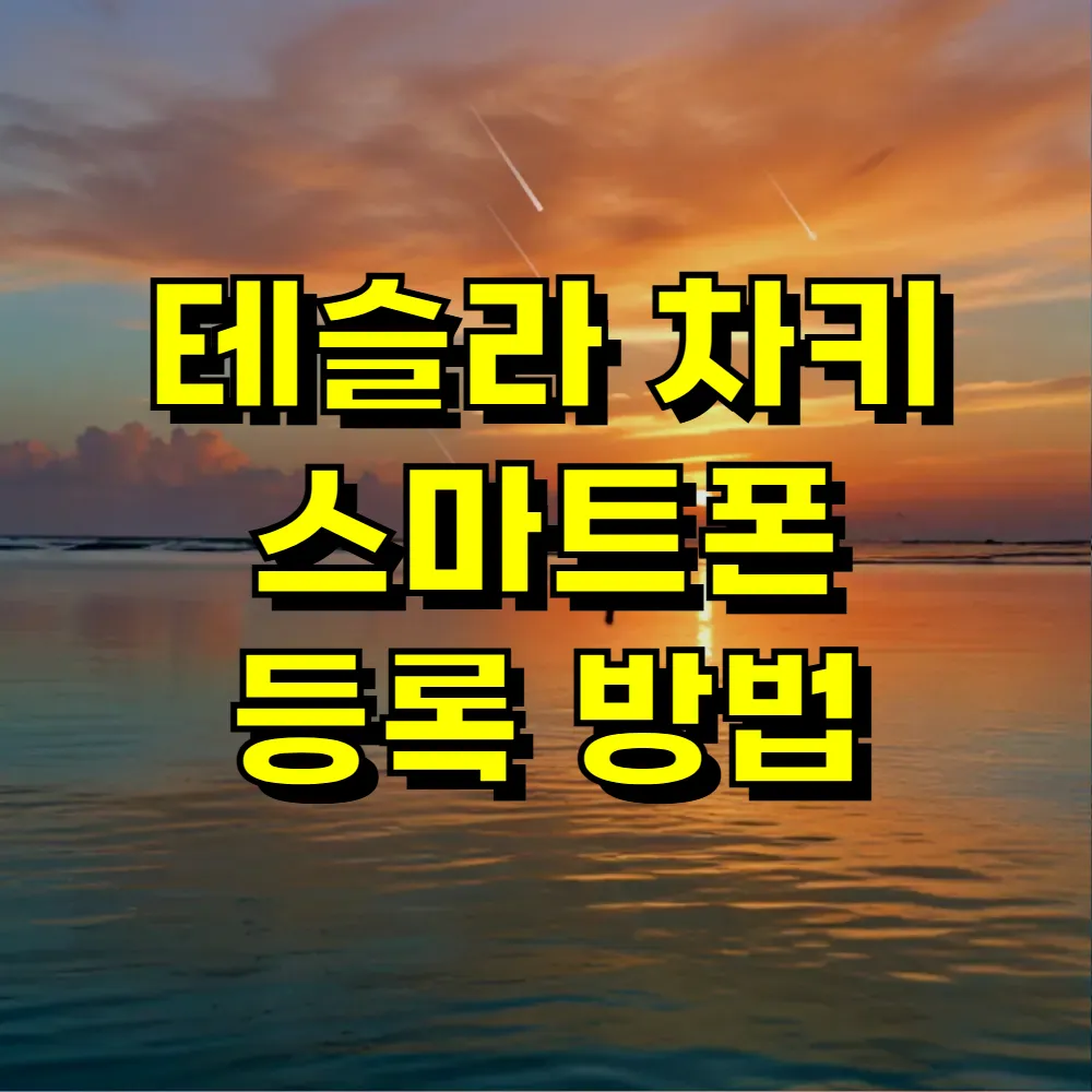 테슬라 차키 스마트폰 등록 방법