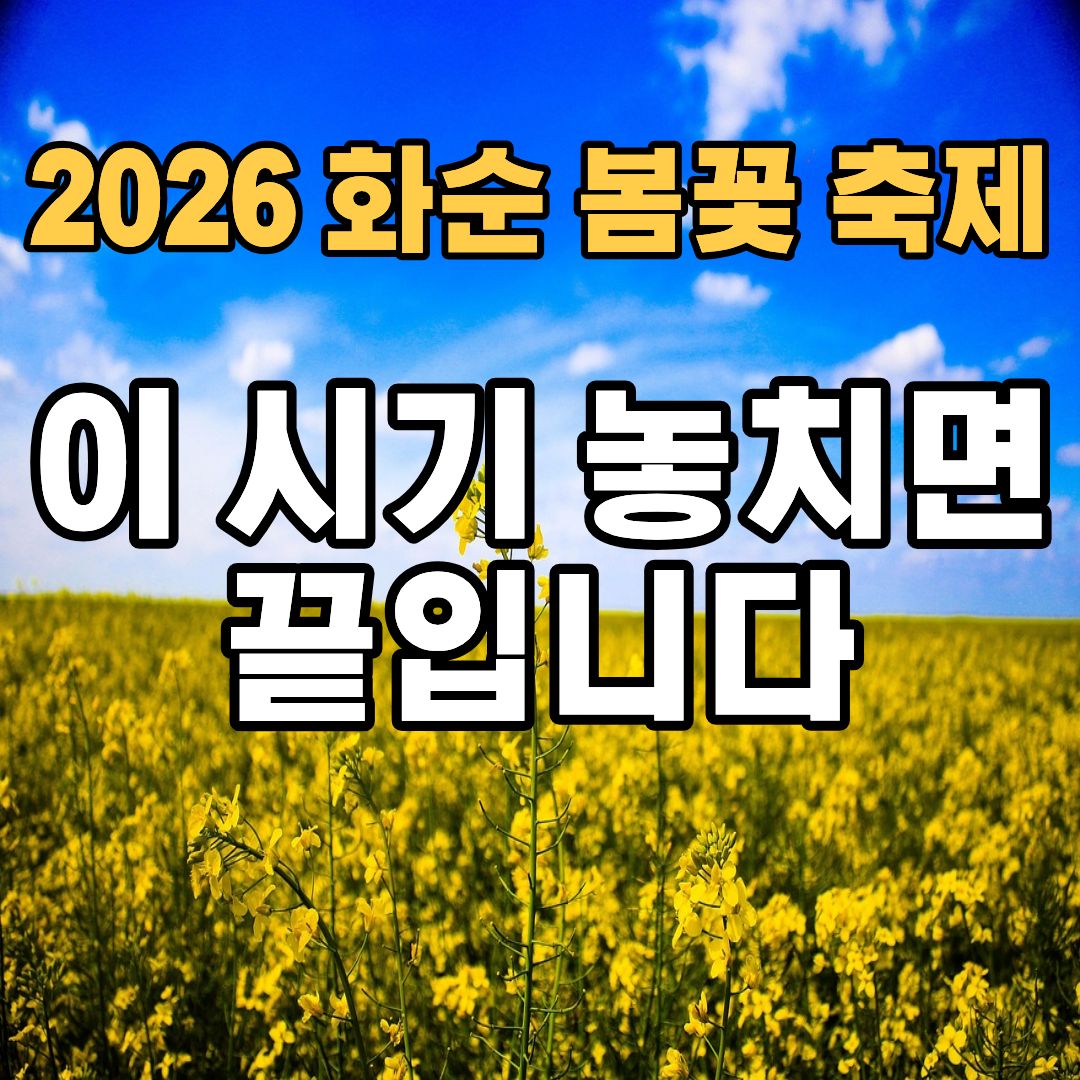 화순 봄꽃 축제 2026 일정 유채꽃 야경 가는길 총정리