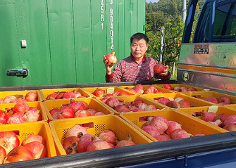 고흥석류피칸농장