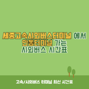 세종고속시외버스터미널에서 안동터미널 가는 시외버스 시간표 최신정보