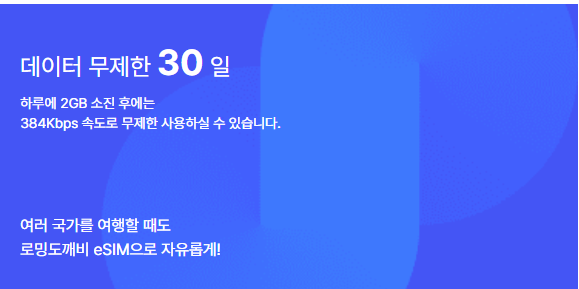 로밍도깨비-eSIM-데이터-30일 무제한