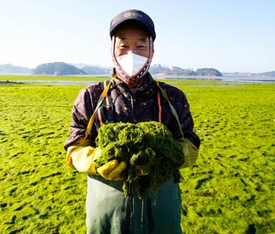 6시내고향-서산-감태-서동감태-서산동부시장