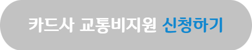 서울시청년대중교통비지원