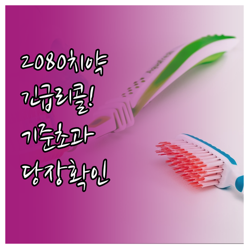 2080 클래식케어 잇몸치약 보존제 ..