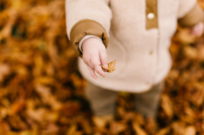 단풍절정시기_단풍명소