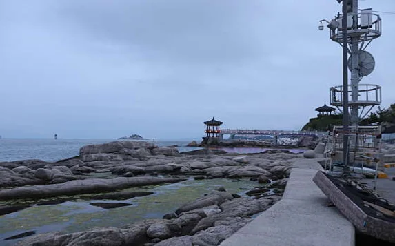 동명항