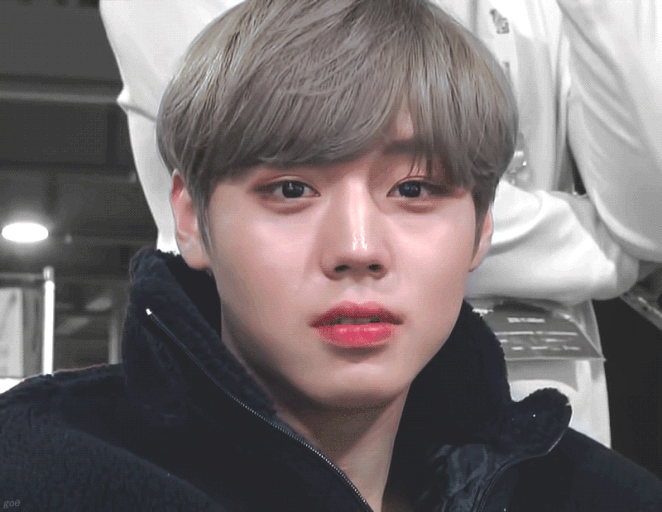 박지훈 움짤