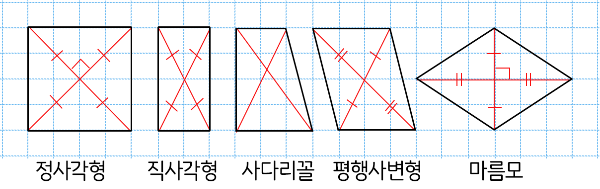 모눈종이에 그려진 정사각형, 직사각형, 사다리꼴, 평행사변형, 마름모
대각선을 그은 모습