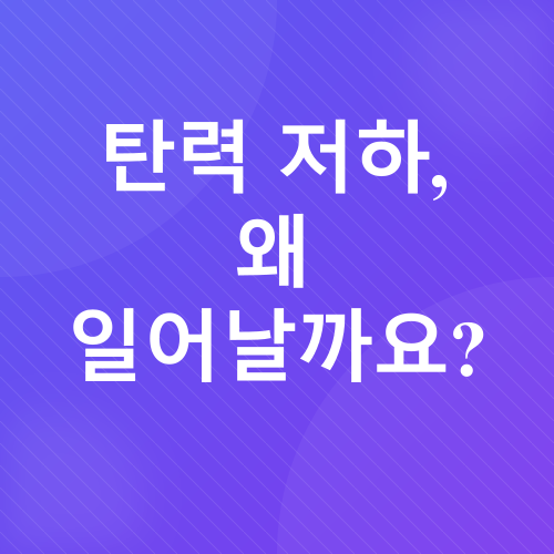 피부탄력_2