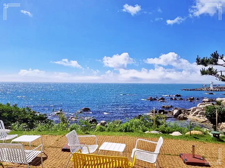 진심 가득 건강 담은 맛 울산 간절곶 맛집 추천 생방송투데이 해맞이 디저트 커피 1년에 단 한 번 새벽 5시에 문 여는 빵집 오션뷰 베이커리 카페 일출 명소 오늘방송 빵플레이스