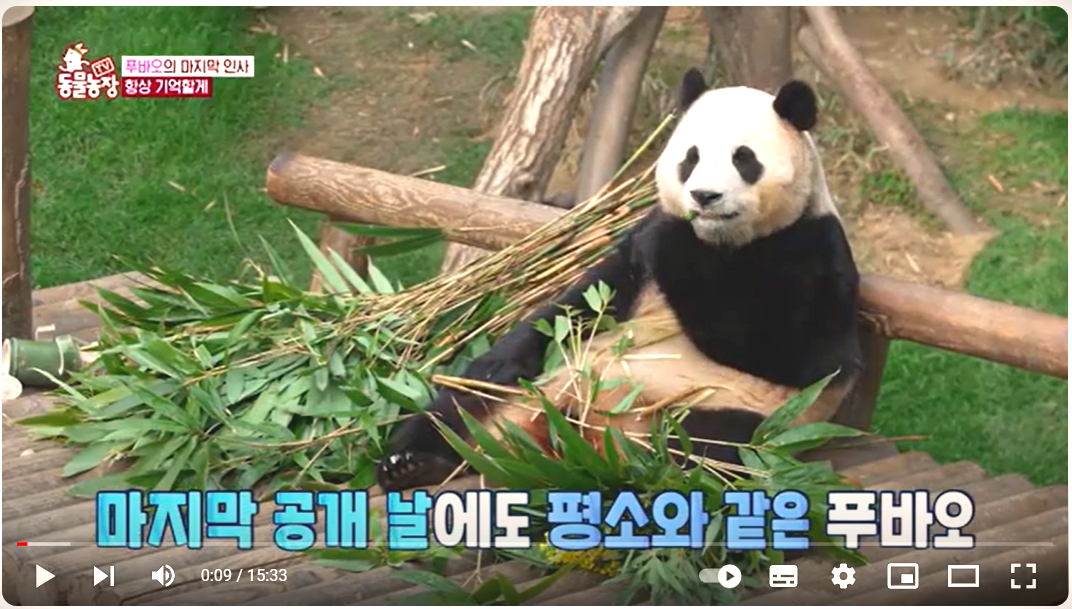 푸바오 마지막 배웅행사보기