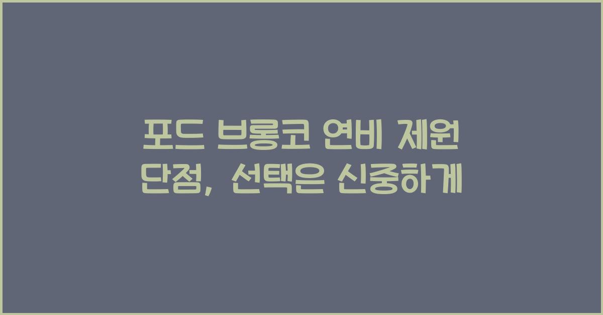 포드 브롱코 연비 제원 단점