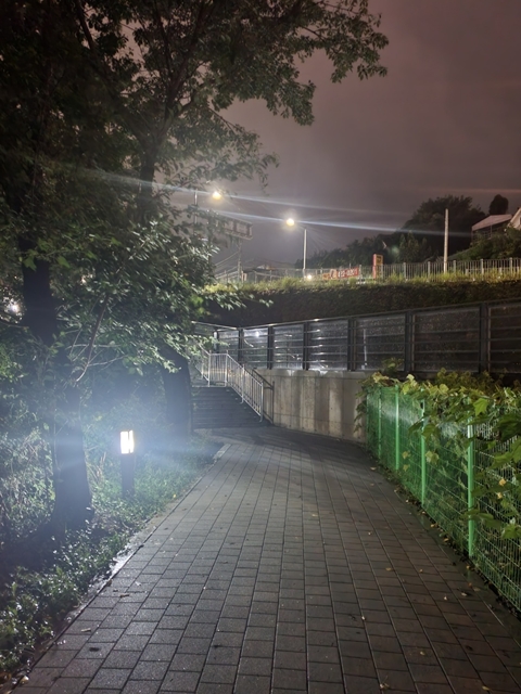 의왕 백운호수 산책로