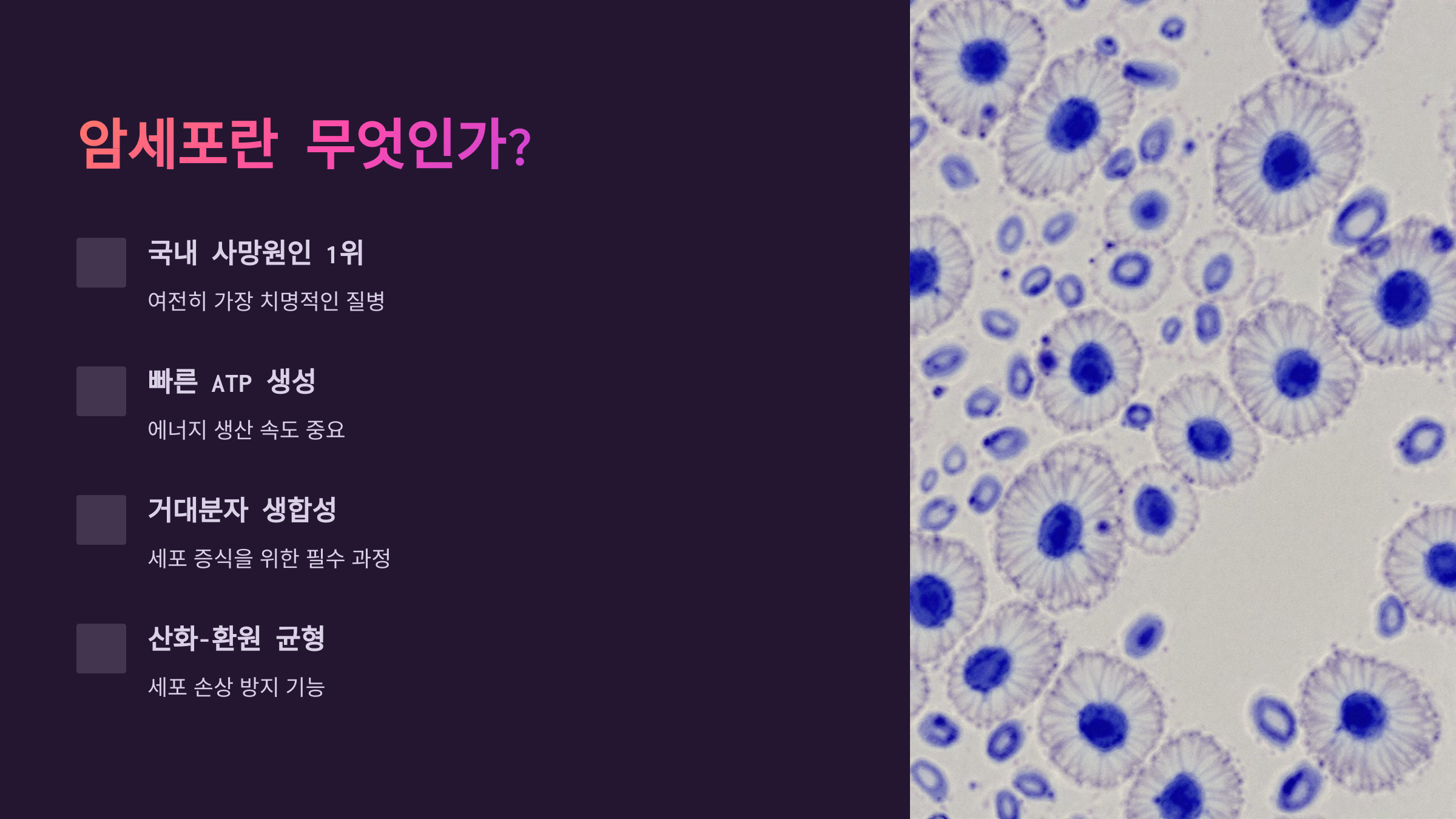 암세포란 무엇인가?