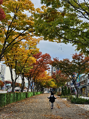 청소용품 가성비 비교 다이소 vs 브랜드 제품