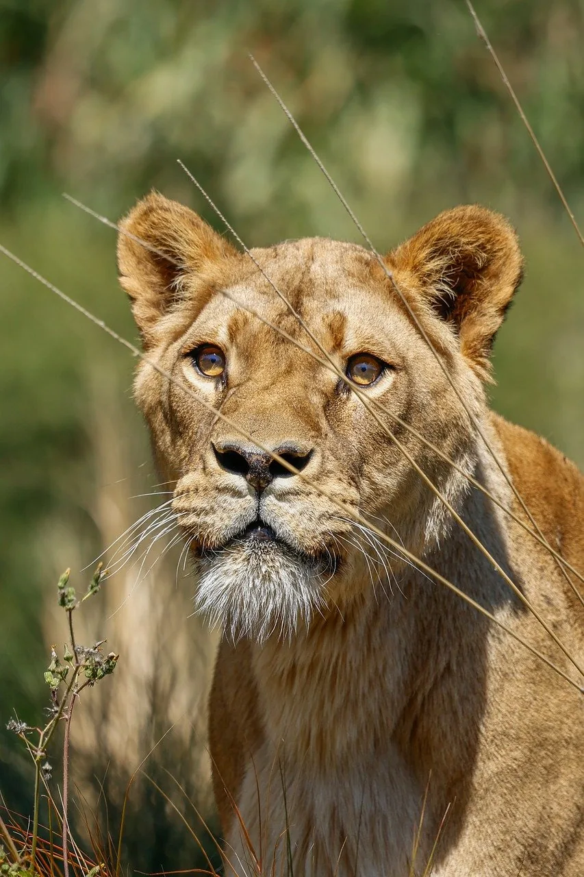 뽀모도로 기법 집중력과 효율을 높이는 시간 관리법