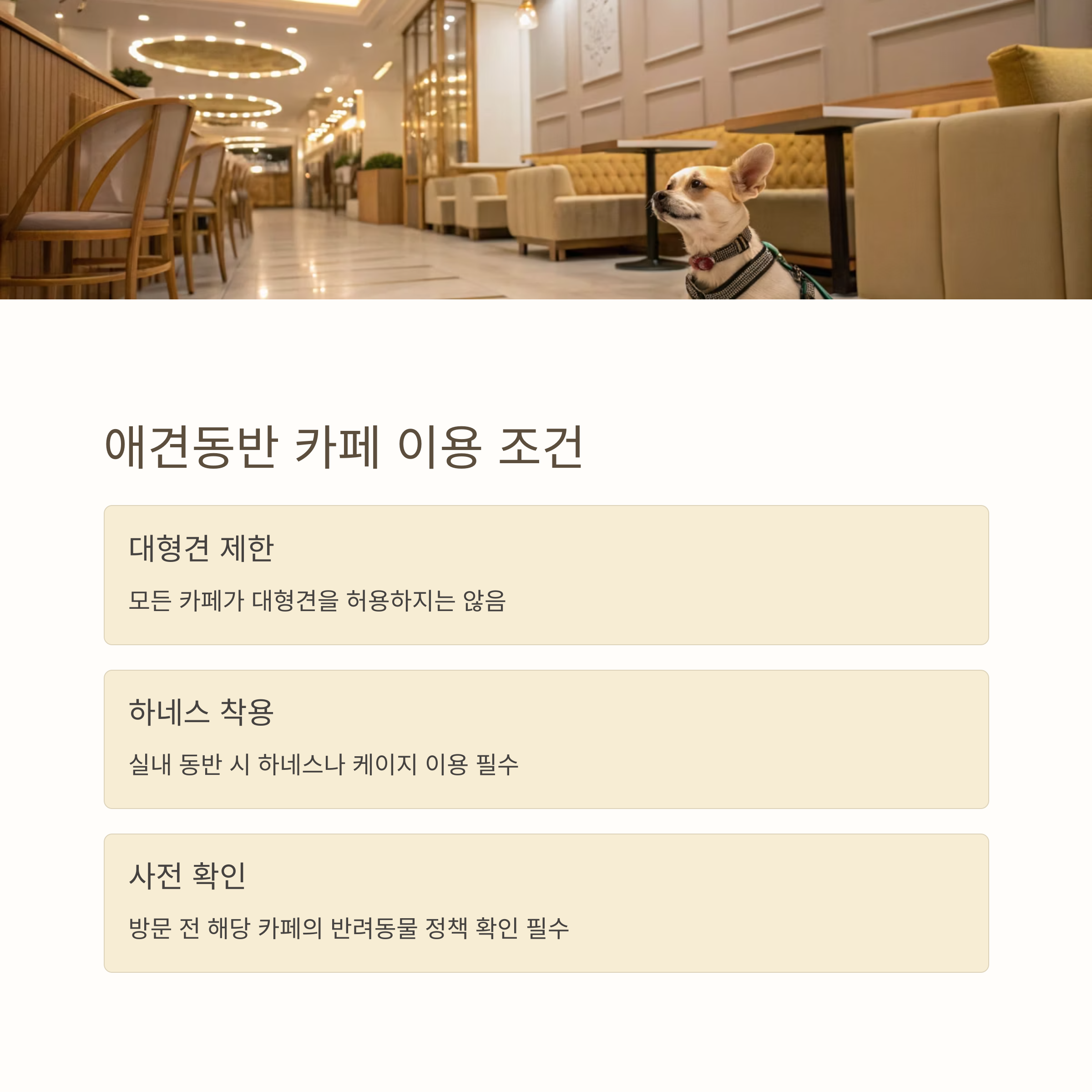 애견동반 카페 이용조건