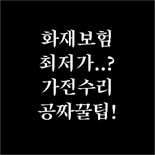주택 및 빌라 화재보험 견적 비교와 ..