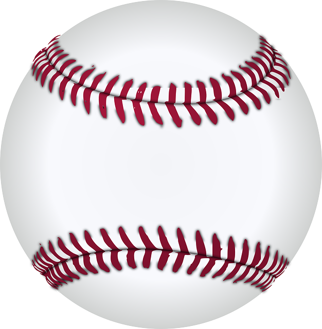 불꽃야구창단경기예매