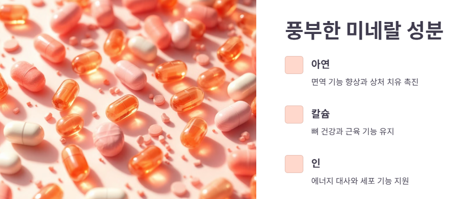 염소즙, 어떤 성분이 들어있을까?