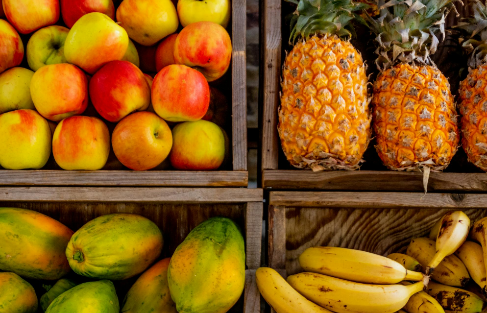 코스트코 추천상품