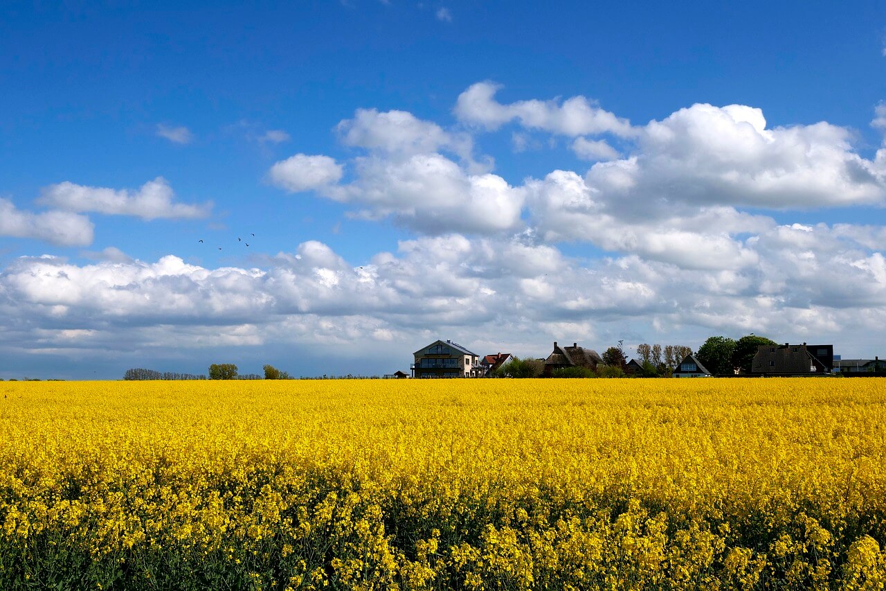 2025 경복궁 별빛야행 예매