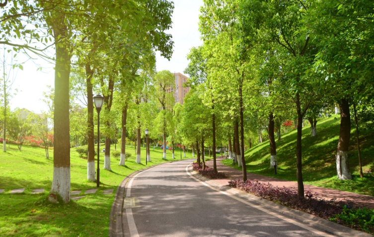 음력 24절기, 경칩 뜻과 의미, 유래 이미지